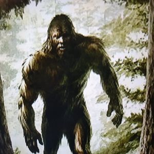 Meet your Posher, Tim